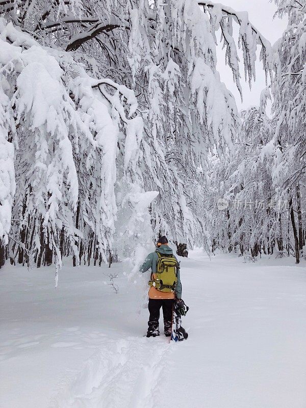 年轻夫妇用雪[暴风雪]戳树